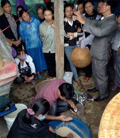 Cải thiện sinh kế bền vững cho người dân vùng lũ