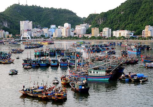 Ngày nghỉ trên đảo “Ngọc”