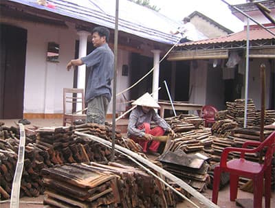 Đề nghị cơ chế đặc thù đối với làng cổ Đường Lâm