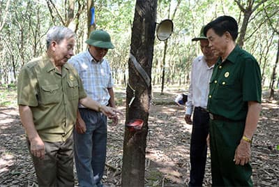 Làm giàu trên đất chiến khu xưa