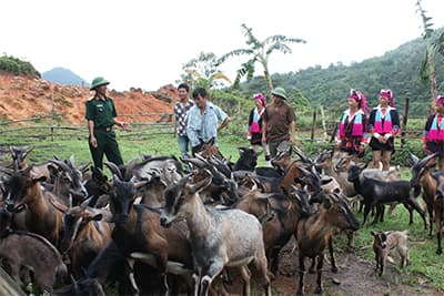 Bài 2: Kế sách “hưng biên, phú dân”