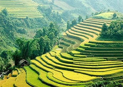 Kỷ niệm 84 năm ngày thành lập Đảng : Đầu Xuân gặp những đảng viên làm kinh tế giỏi ở Văn Chấn