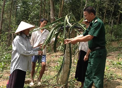 Hiệu quả lớn từ mô hình nhỏ