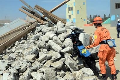 Động đất mạnh tại Nhật Bản, 18 người thương vong