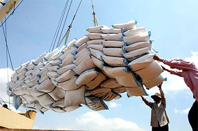 Xuất khẩu gạo đạt 1,31 triệu tấn