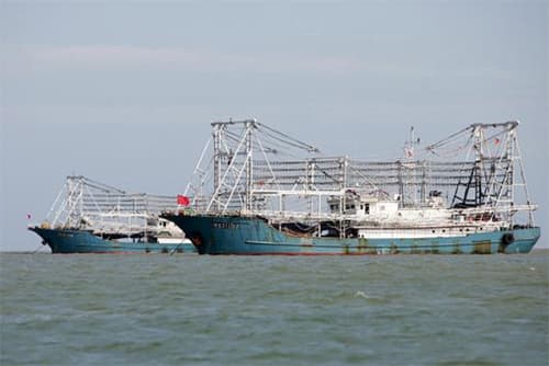 Chính sách tung tàu cá lấn chiếm Biển Đông