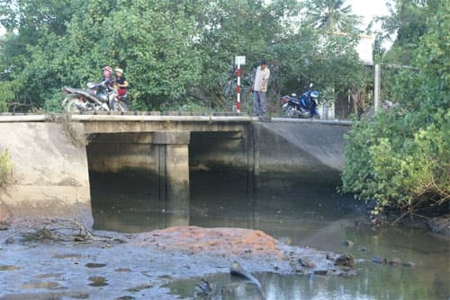 "Đất chuyên trồng lúa nước", nhưng không trồng được lúa nước!