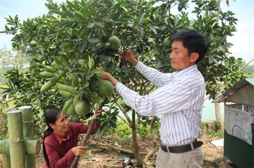 Tỷ phú cựu chiến binh Lê Đình Hưởng