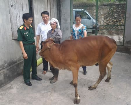 Vì những làng quê sáng - xanh - sạch - đẹp