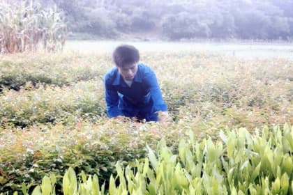 Chàng trai Mường biết cách làm giàu