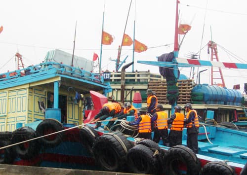 Sát cánh chống bão