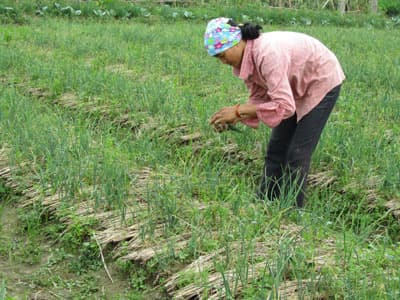 Bão đi qua, nỗi buồn ở lại
