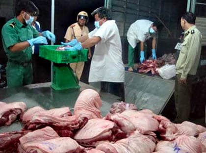 Chế tài xử phạt còn quá nhẹ
