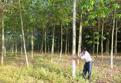 Sự "đổi đời" ở Lộc Ninh
