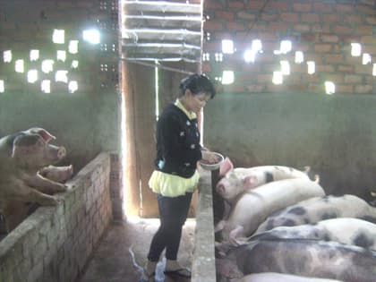 Vợ đảm trên quê mới