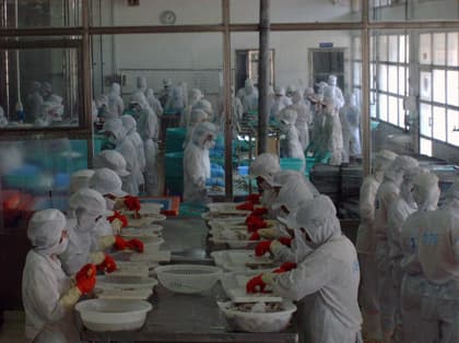 Làm giàu đâu chỉ có dầu