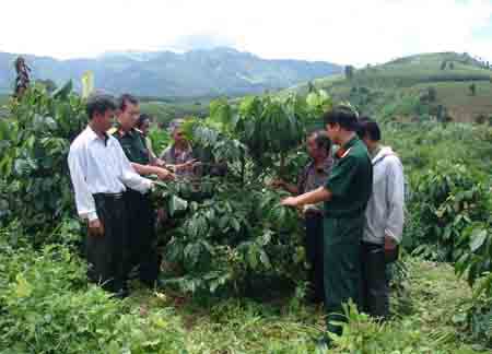 Màu xanh dưới chân núi Sạc Ly
