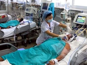 Một người ở Hà Nội tử vong do nhiễm liên cầu khuẩn lợn