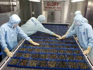 Việt Nam chính thức phản đối vụ kiện chống trợ cấp ngành tôm