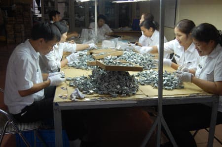 Trẻ trung Z117