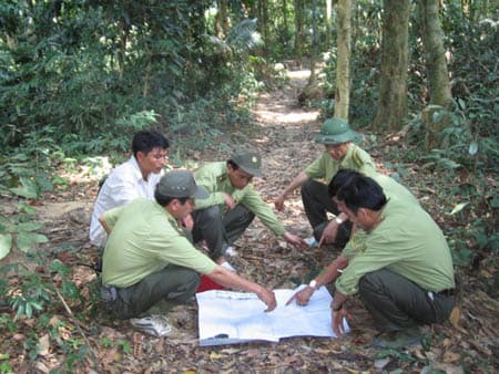 Bài 2: Ứng dụng công nghệ hiện đại quản lý rừng