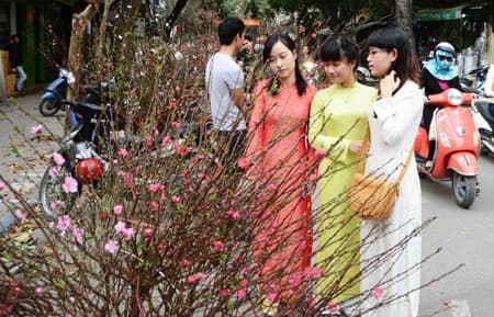 Sắc Xuân trên phố