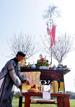 Ngày hội sắc Xuân trên mọi miền Tổ quốc