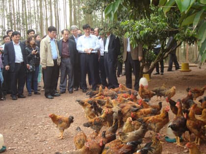 Bộ Y tế kiểm tra VSATTP và dịch cúm A/H7N9 tại Bắc Giang