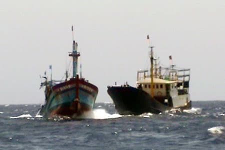 Trở về từ Hoàng Sa