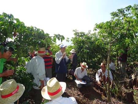 Nâng cao thu nhập cho nông dân sau 5 năm triển khai