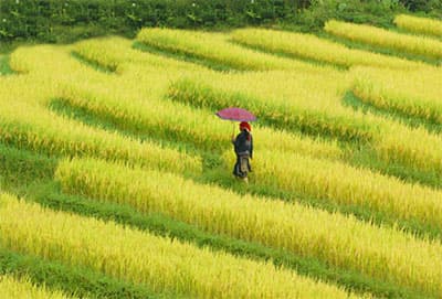 Xác nhận thêm các "kỷ lục" mới tại Lễ hội 110 năm du lịch SaPa
