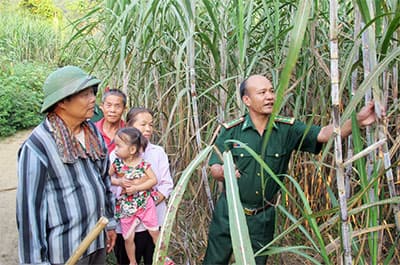 Mô hình "thung lũng xanh" ở Thị Hoa