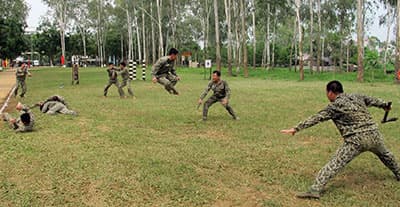 Các đội thể thao quân đội thi đấu 18 giải, giành 156 huy chương