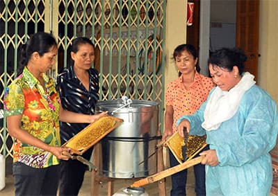 Những mô hình phù hợp, hiệu quả