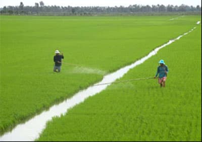 Kỷ niệm 125 năm ngày sinh Chủ tịch Tôn Đức Thắng: Khởi sắc trên quê hương Bác Tôn