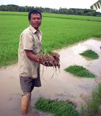Cựu chiến binh Kim Ry vươn lên từ gian khó