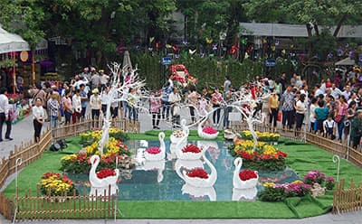 10 ngàn bông hoa làm đẹp tại triển lãm “Hoa và cuộc sống”