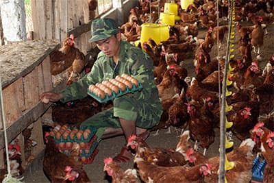 Tết sớm "vui tươi, tươm tất"