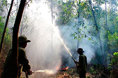 Phòng ngừa "bà hỏa" nơi Đất Mũi