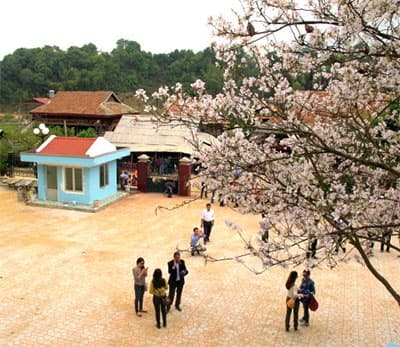 Vùng sinh thái đặc sắc Tây Bắc
