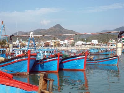 Hỗ trợ ngư dân tiếp tục vươn khơi bám biển