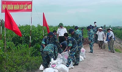 Lữ đoàn 147 Hải quân giúp dân phòng chống bão số 2