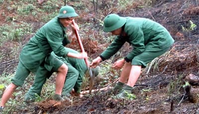 Cơ hội học tập, cống hiến để trưởng thành