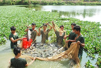 "Trồng rau trên đá, nuôi cá trên đồi"