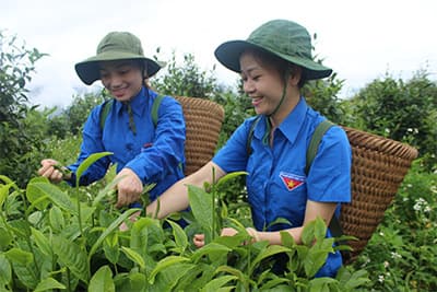 “Thương hiệu” mới trên dãy Pu Xai Lai Leng