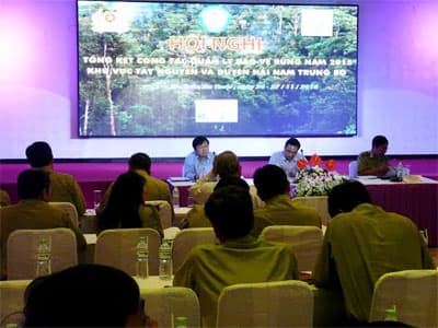 Tình trạng vi phạm lâm luật vẫn còn diễn biến phức tạp