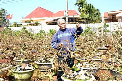 Xuân này Hòa Thắng được mùa mai