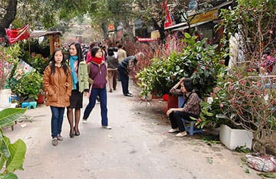 Thời tiết dịp Tết có thuận lợi để du Xuân?