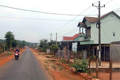 Xanh hóa vùng biên