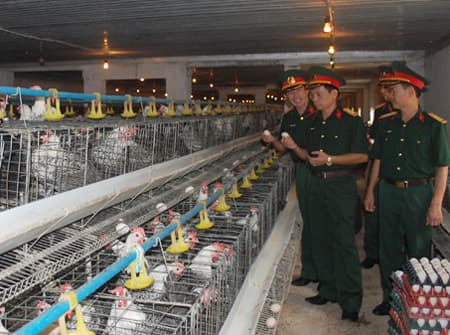 Thu lãi từ tăng gia sản xuất hơn 2,2 tỷ đồng